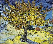 Vincent Van Gogh Mulberry Tree oil painting